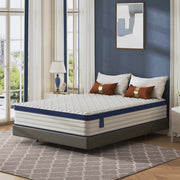 Paproos King Mattress, 12-inch Hybrid Mattress